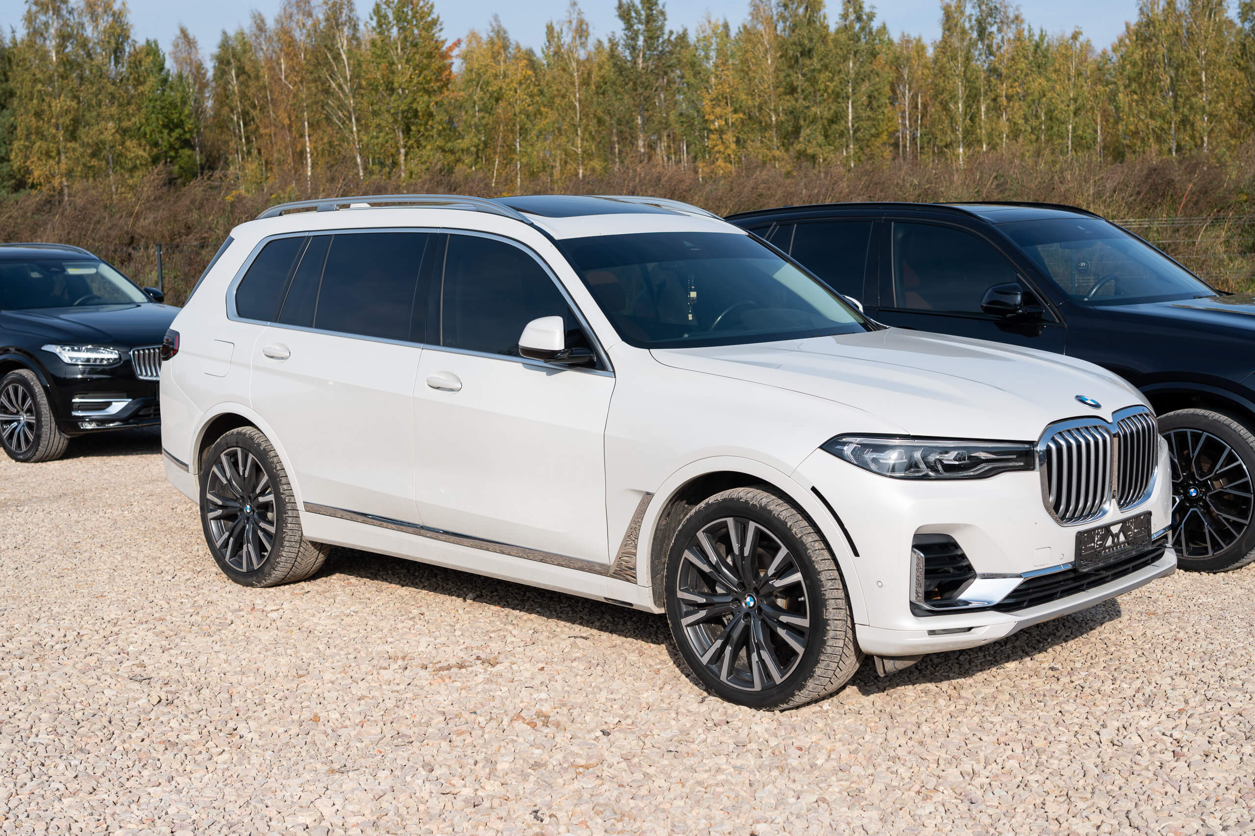 BMW X7 G07 xDrive 40i 2020 Mineral White Metallic